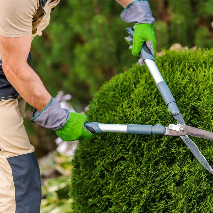 Entretien jardin Somme