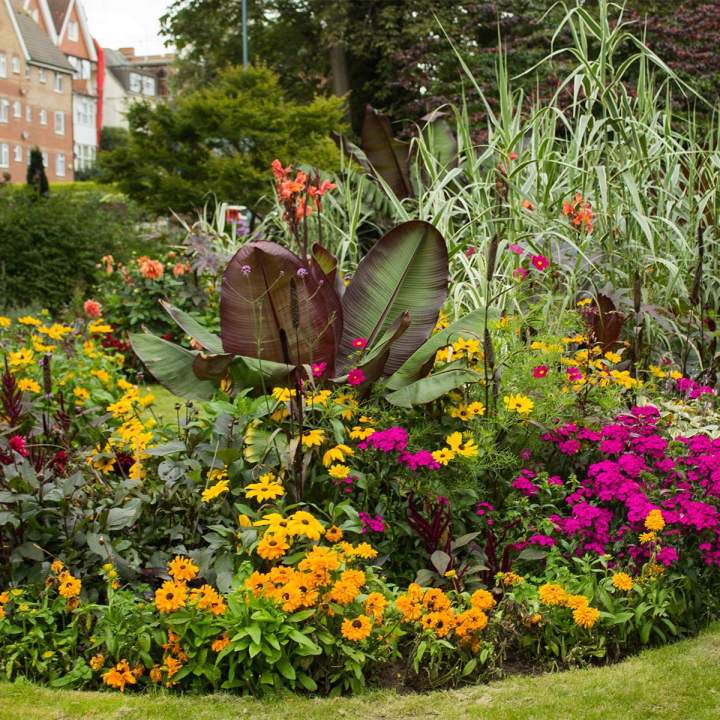 Agencement du jardin Somme