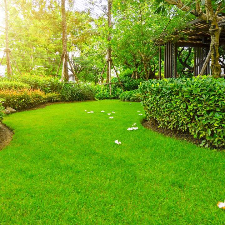 aménagement de jardin Somme