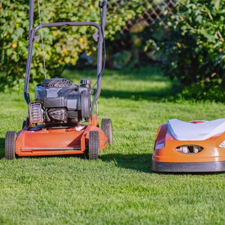 Tonte de gazon Somme