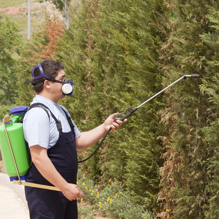 Traitement phytosanitaire Somme