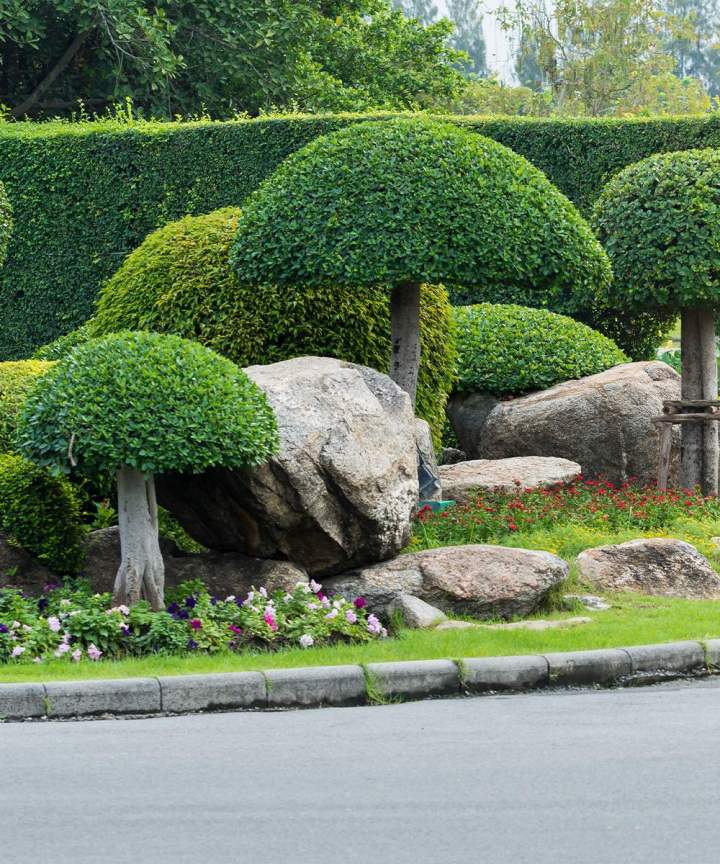 Aménagement paysager Somme