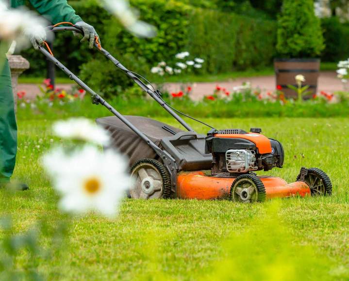 Intervention complète pour un espace vert soigné en toute saison