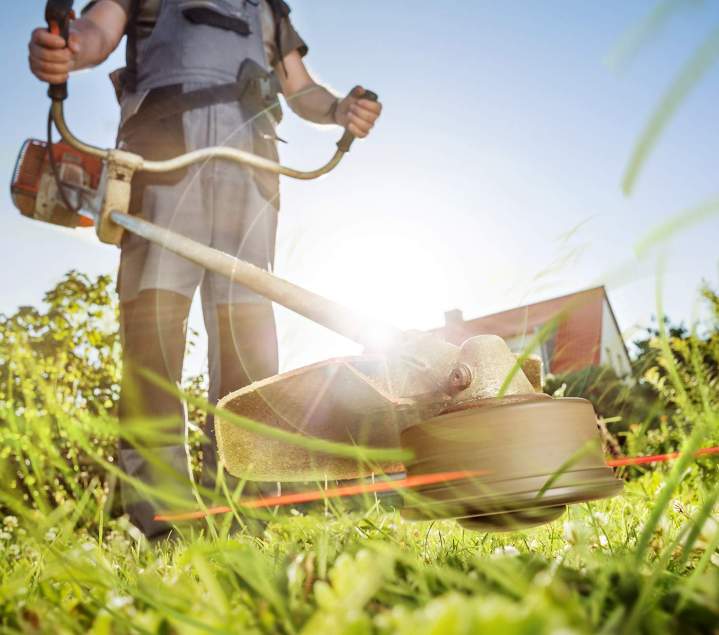 Débroussaillage jardin Somme
